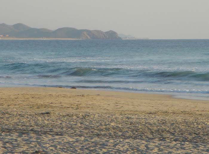 DSC03270
