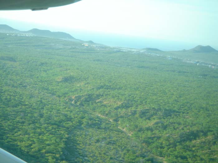 DSC03306