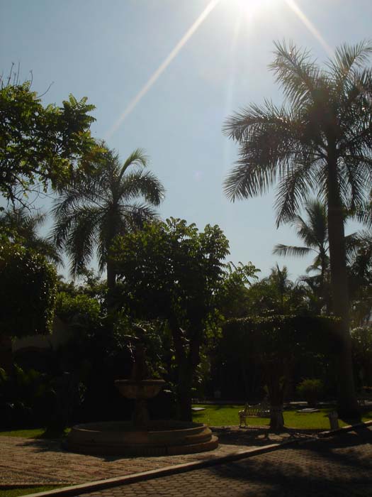 DSC03354