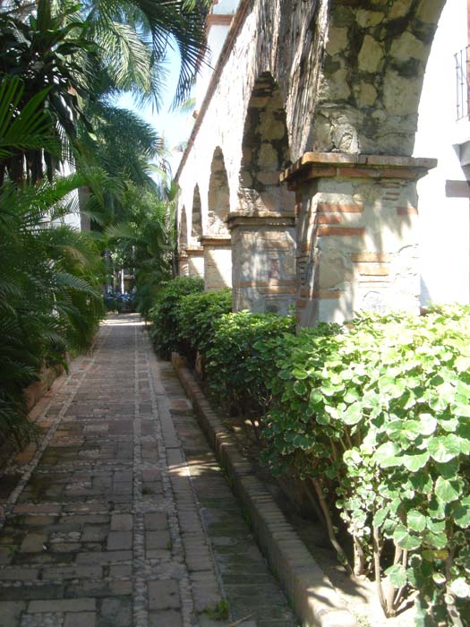DSC03359
