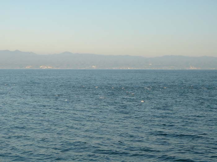DSC03455