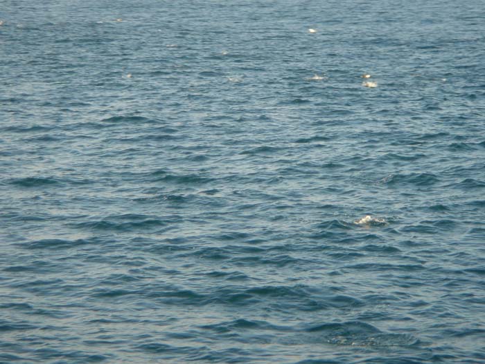 DSC03459