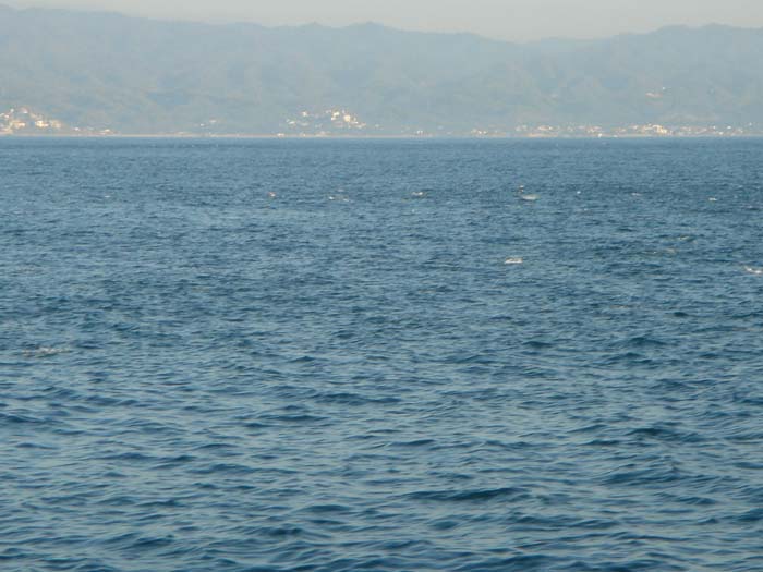 DSC03463