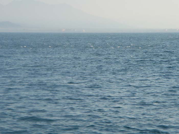DSC03465