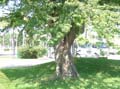 DSC03361