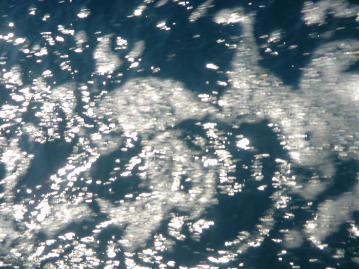 DSC03647_1