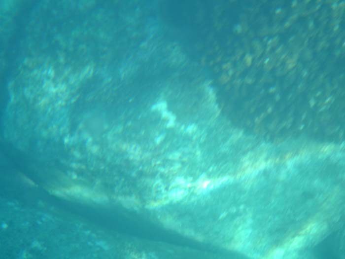 DSC03670_1