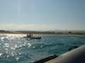 DSC03634_1