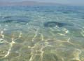DSC03651_1