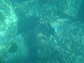 DSC03669_1
