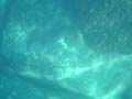 DSC03670_1