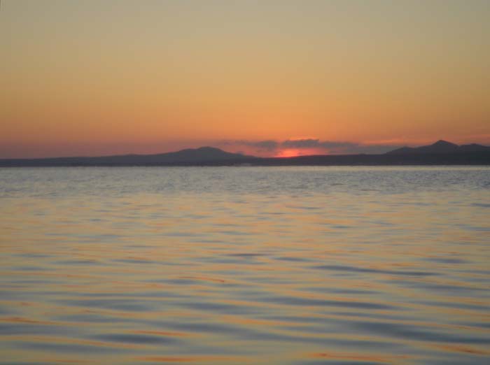 DSC03695