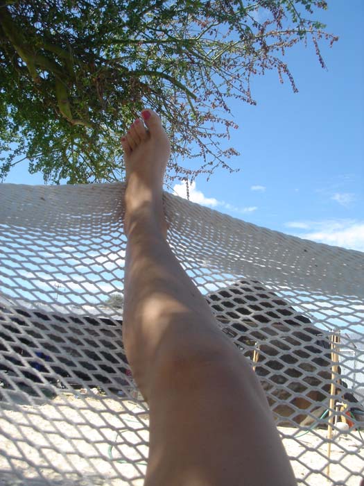 DSC03766