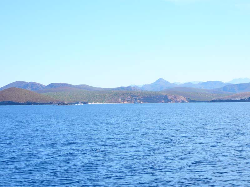 P1060779