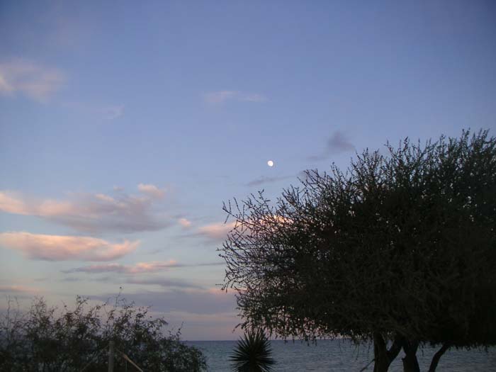 PICT0039
