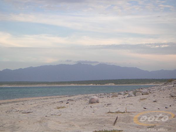 PICT0026