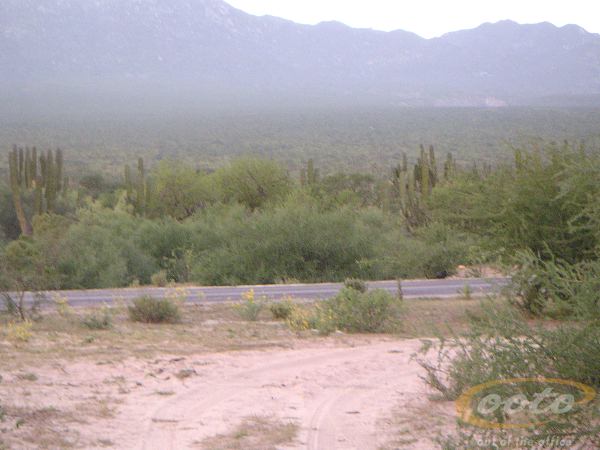 PICT0035