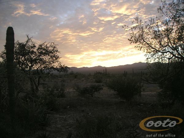 PICT0037