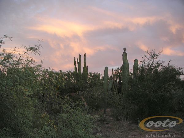 PICT0038