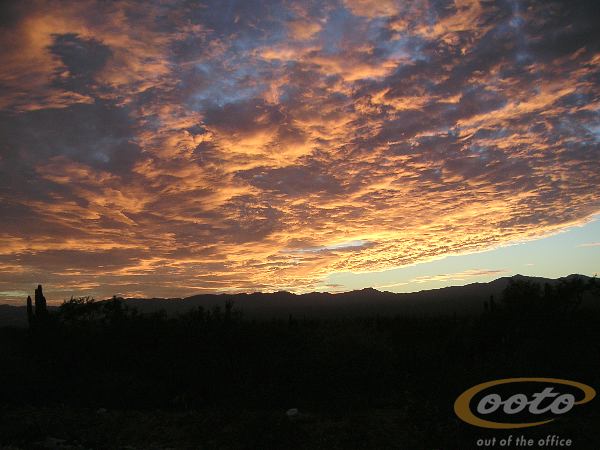 PICT0039