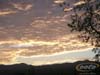 PICT0036