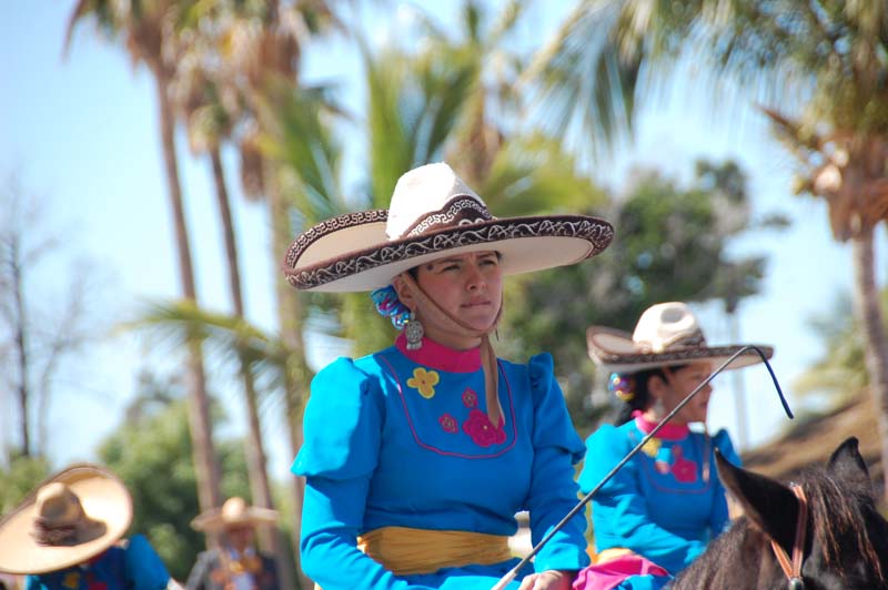 DSC_1461