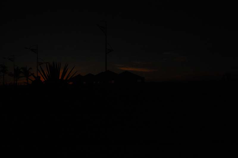 DSC_1565