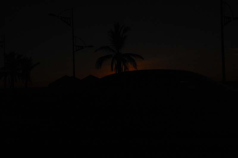 DSC_1567
