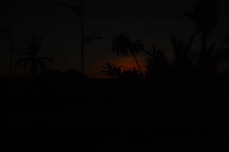 DSC_1568