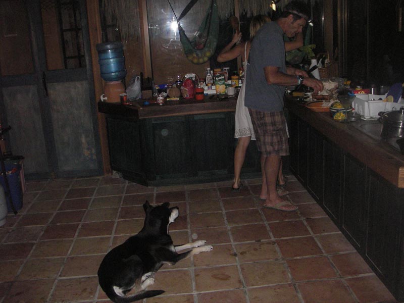 IMGP0265