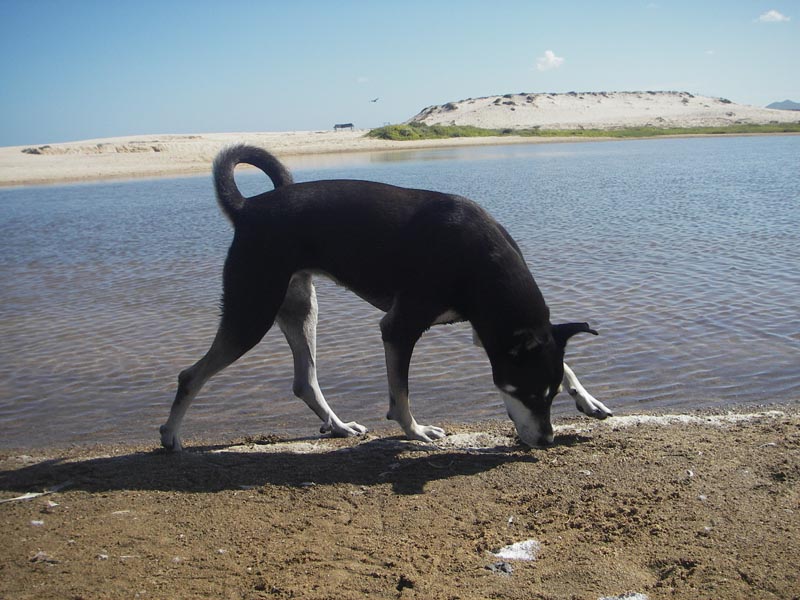 IMGP0322