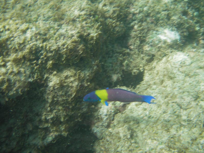 IMGP0333