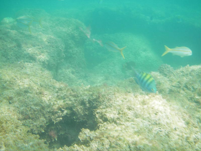 IMGP0336