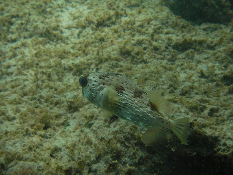IMGP0361