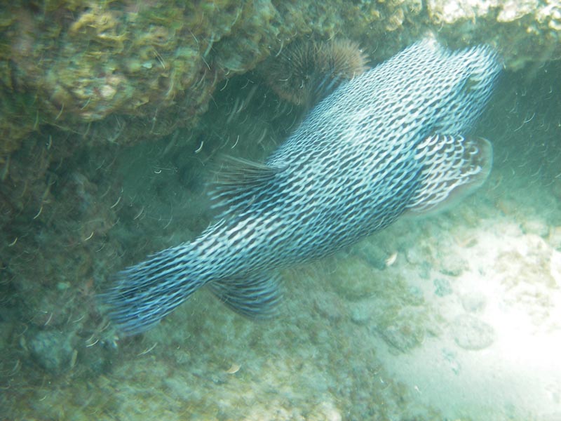 IMGP0370