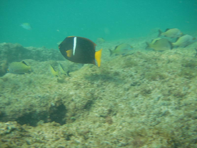 IMGP0372