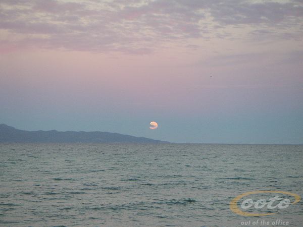 PICT0029