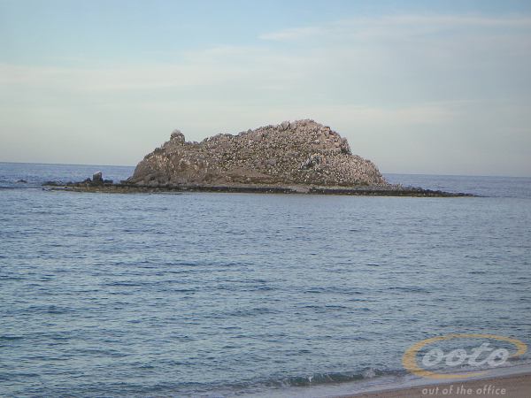 PICT0051