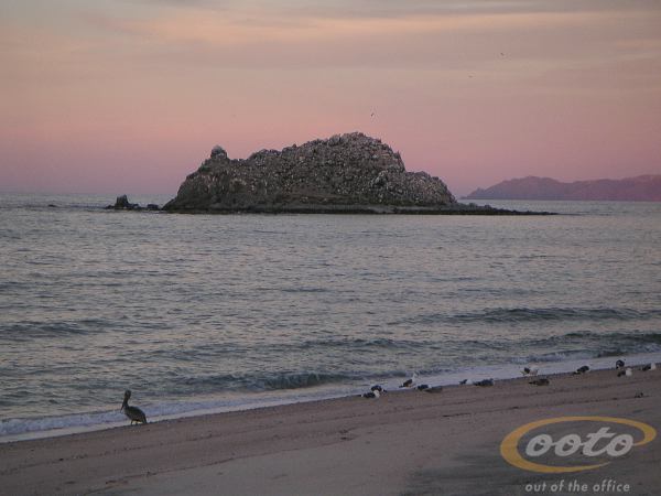 PICT0061