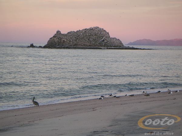 PICT0062
