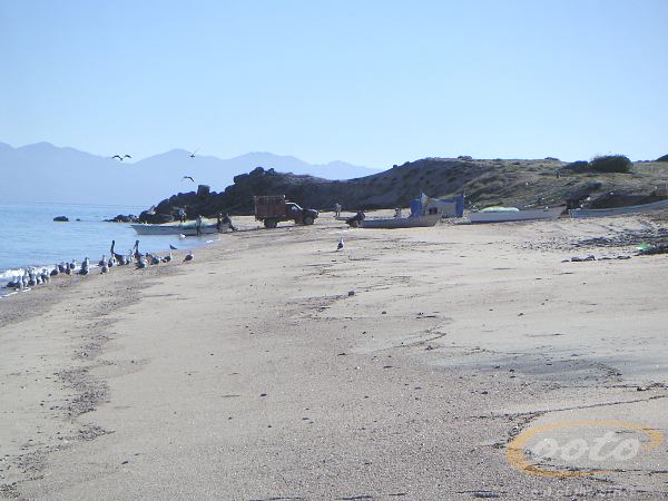 PICT0070