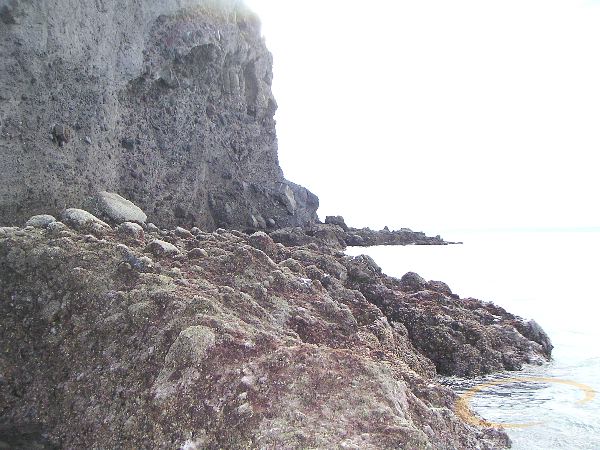 PICT0077