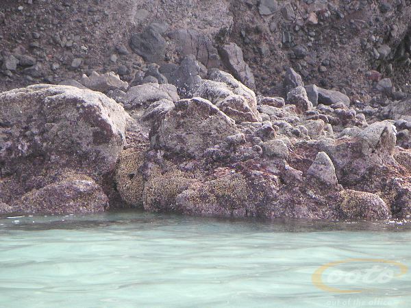 PICT0079