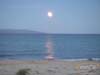 PICT0031