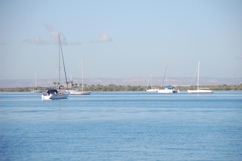DSC_6514