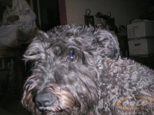 PICT0097