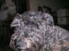 PICT0097