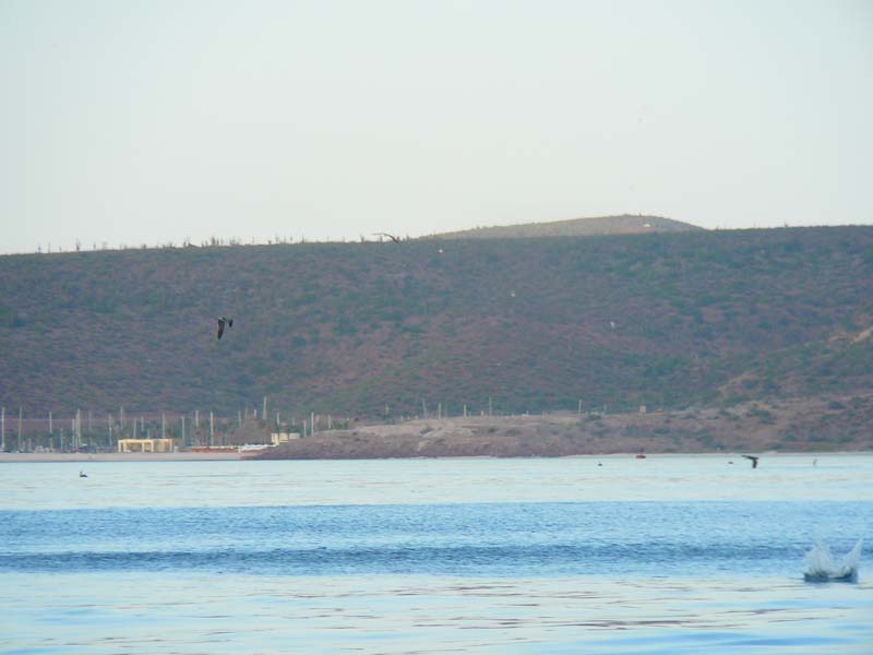 P1070078