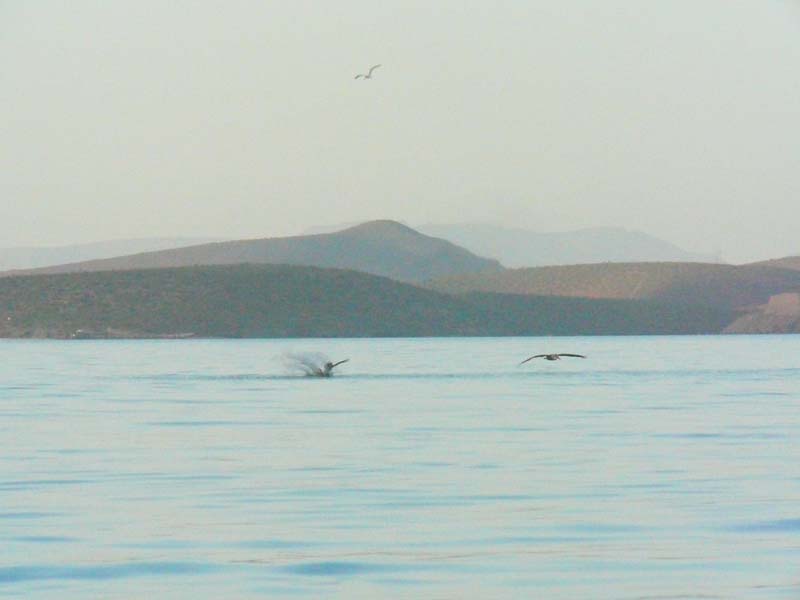 P1070080