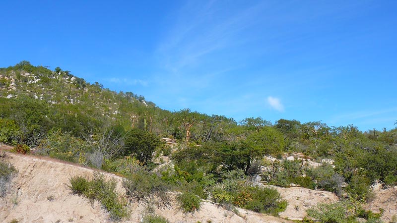 P1140272